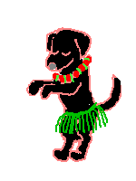 hula-hula dog
