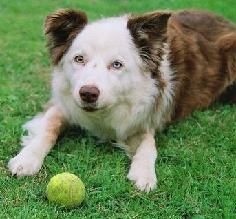 Look at his eyes!