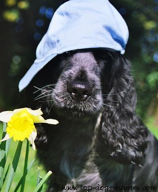 Suki looking Cool