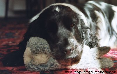 Suki and her bunny