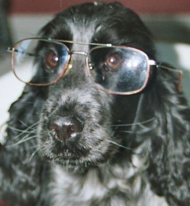 Suki in glasses