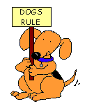 Dogs Rule